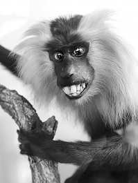 museum de histoire naturelle rouen 8-2021 9460